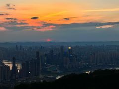 -大金鹰园