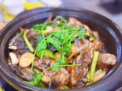 瓦煲石斑鱼-桥东喜碧海鲜街(水东街店)