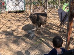 -草根堂农场