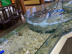 水产区-南庄酒家·海鲜粤菜·25年老字号(环城南路店)