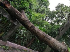 -广州中医药大学三元里校区-篮球场