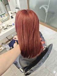 -镁连社·美联社