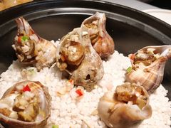 -老伙记海鲜码头(北滘店)
