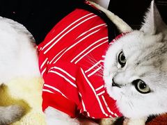 -宠颐生中康贝怡动物医院