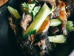 -探窝·竹笙椰子鸡(杨箕店)