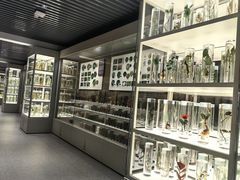 -北京中医药大学-中医药博物馆