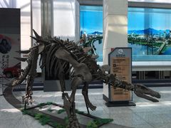 -吉林市博物馆