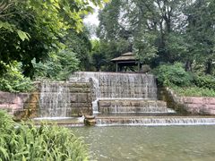-成飞公园