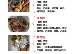 -巧克力渔家.小船海鲜胶东菜(万平口店)