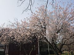 -堤角公园