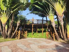 -深圳国际园林花卉博览园