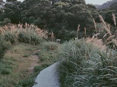 -花竹村