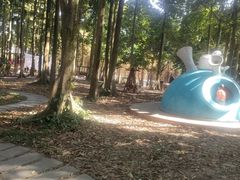 -广州市帽峰山景区