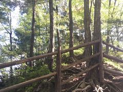 -王顺山国家森林公园
