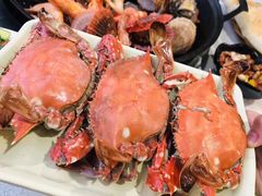 -大锅强·蒸海鲜青岛菜(吾悦广场店)