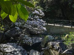 -浙北大峡谷
