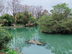 -花溪公园