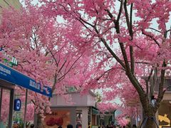 -首开·龙湖成都西宸天街