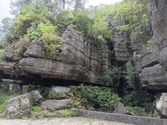 -梭布垭石林景区