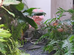 -漫笙舍Manse·咖啡·民宿