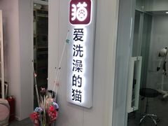 -爱洗澡的猫(望京店)