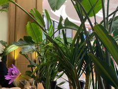 -泰香米泰国餐厅(中大国际店)