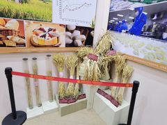 -中国农业博物馆