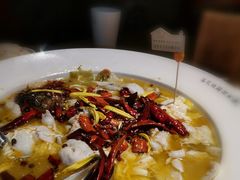 -胡桃里音乐酒馆(罗湖HALO广场店)