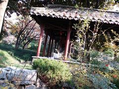 -梅园