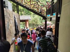 -将军关探险漂流