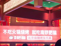 -南锣肥猫·麻辣烤鱼·16年现烤现卖(财富购物中心店)