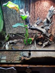 -酷嗒动物文化乐园(cutezoo西溪乐天城店)