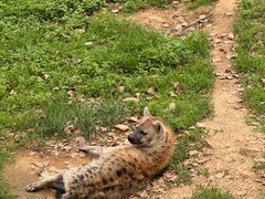 -大连森林动物园