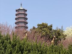 -石岛赤山风景区