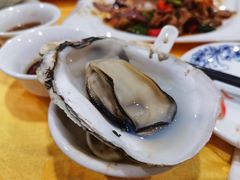 生蚝-蚝专家(北滘店)