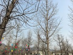 -辛庄国际文化艺术区