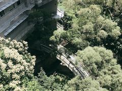 -香港大学