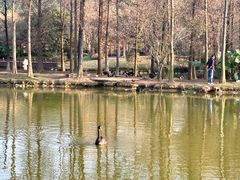 -佛冈森波拉度假区