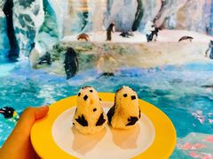 -帝企鹅自助餐厅•儿童岛•真企鹅(长隆企鹅酒店)