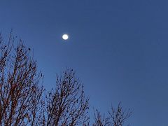 -逍遥镇刘相五胡辣汤豆沫馆(康复中街店)