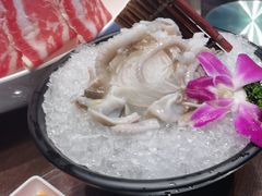-东海怡品海鲜豆捞(舟宿夜江店)