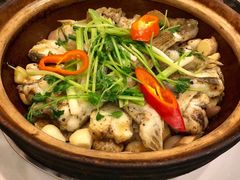 招牌焗多宝鱼-美极鲜食坊(宝安南路店)