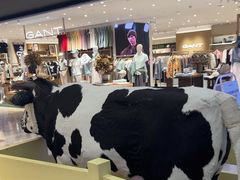 -红星前进面包牛奶公司(君太店)