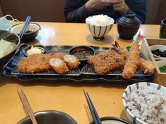 -胜博殿日式炸猪排(西红门店)