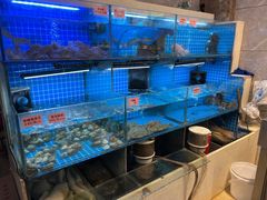 水产区-涌觅名灶·本地海鲜宁波菜(财富广场店)