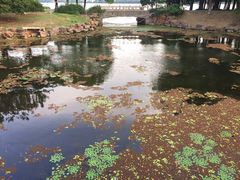 -明翠湖品·湖景餐厅
