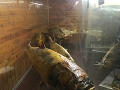 -南京金牛湖风景区