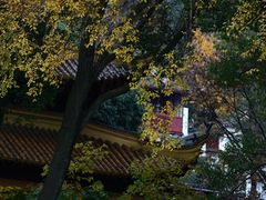 -狼山风景名胜区