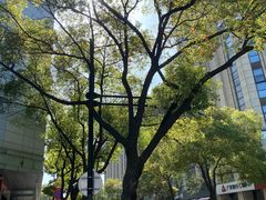 -郑和公园