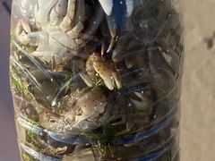 -那香海钻石沙滩浴场